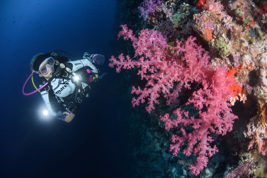 Videógrafo subacuático filmando bajo el agua